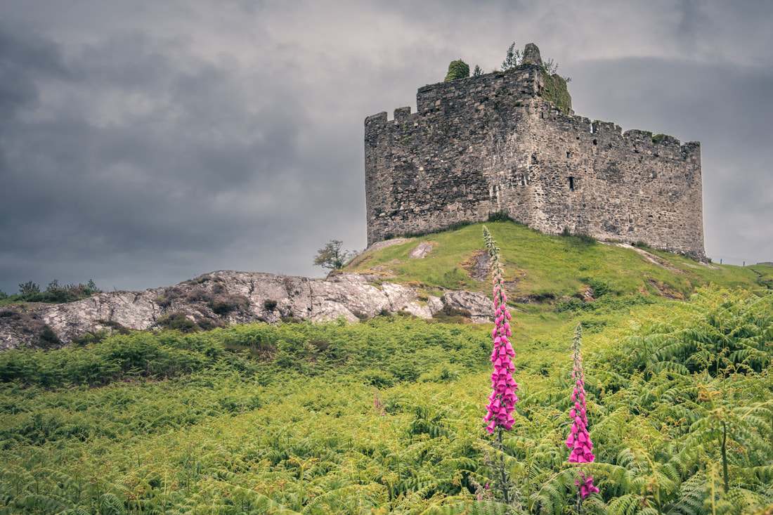 Castle Tioram at Dorlin among bracken and foxgloves on a cloudy day | Moidart Scotland | Steven Marshall Photography