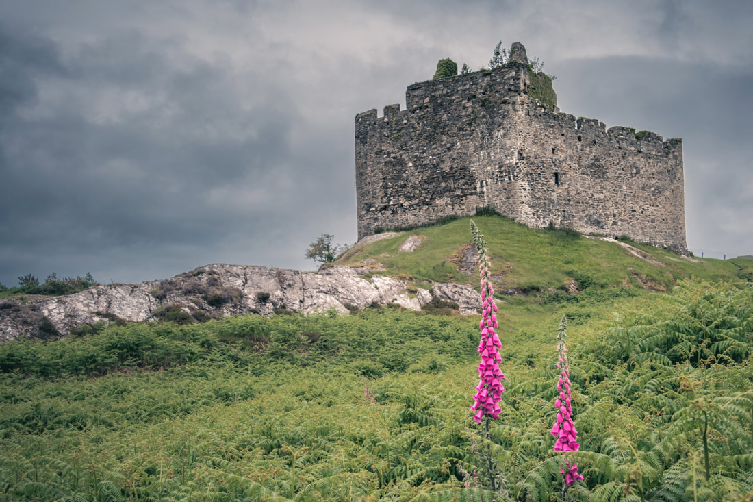 Castle Tioram at Dorlin among bracken and foxgloves on a cloudy day | Moidart Scotland | Steven Marshall Photography
