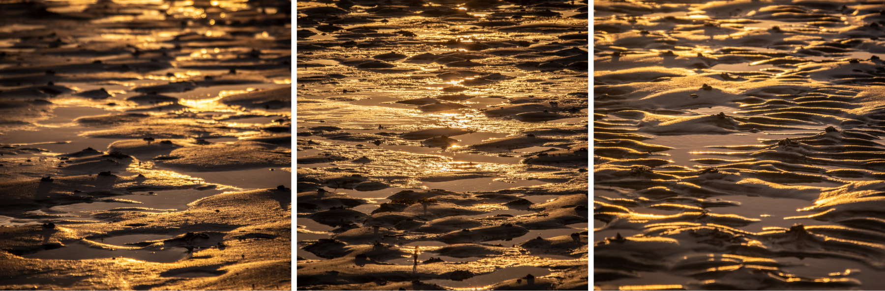 Sands on the beach at Samalaman Bay near Glenuig during a golden summer sunset | Moidart, Scotland | Steven Marshall Photography